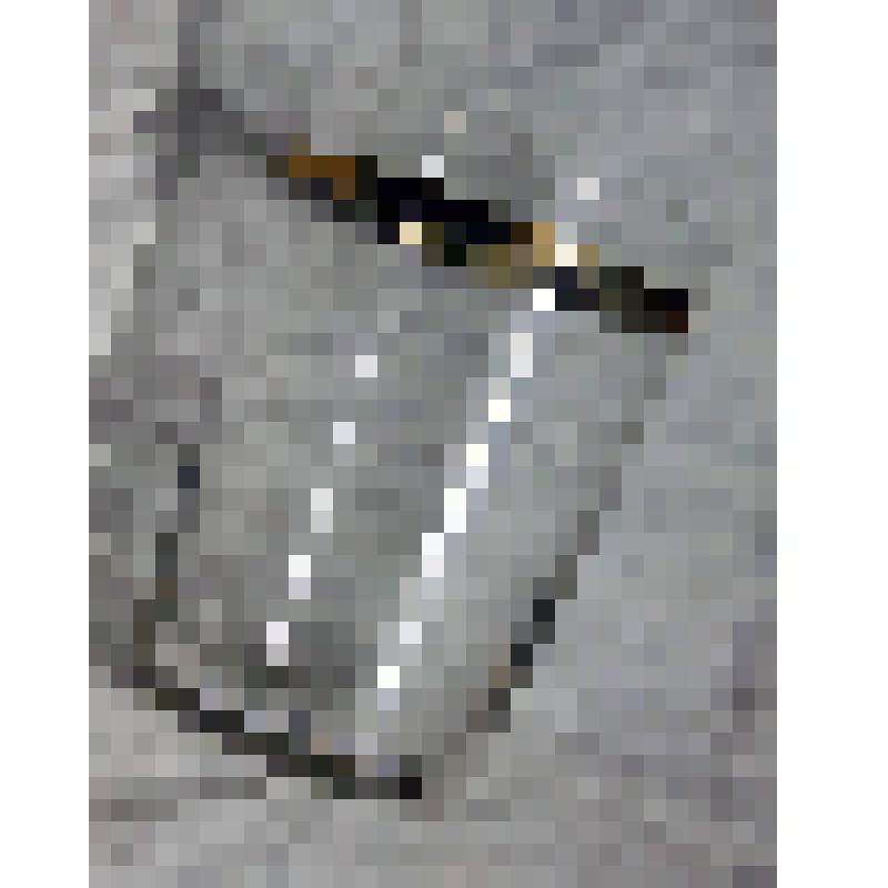 Стопка для крепких спиртных напитков прозрачного бесцветного стекла с золотистой полосой по краю, из коллекции документальных, фотографических и вещевых материалов о Миловидовой Инне Борисовне (1929-2009), кандидате биологических наук, преподавателе биофа