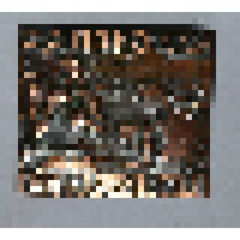 Значок.Приз Д.М.Карбышева