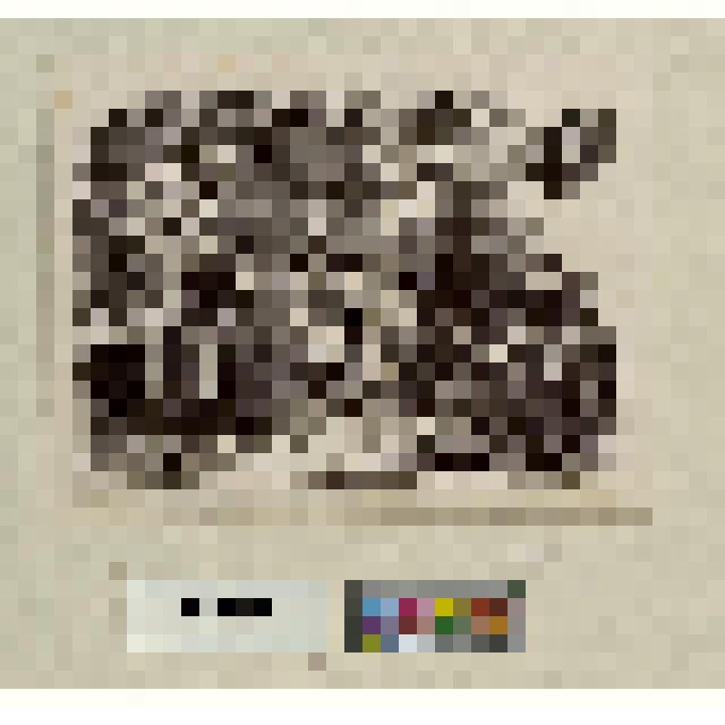 Сценка в кабачке