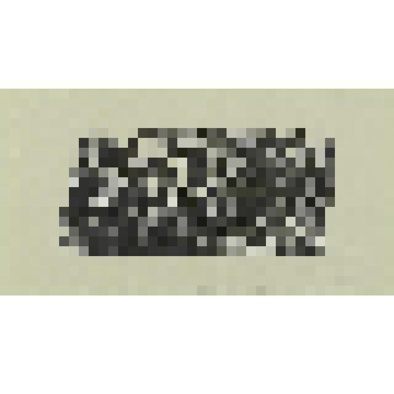 Иллюстрация к рассказу М. Твена "Журналистика в Теннеси". гравюра