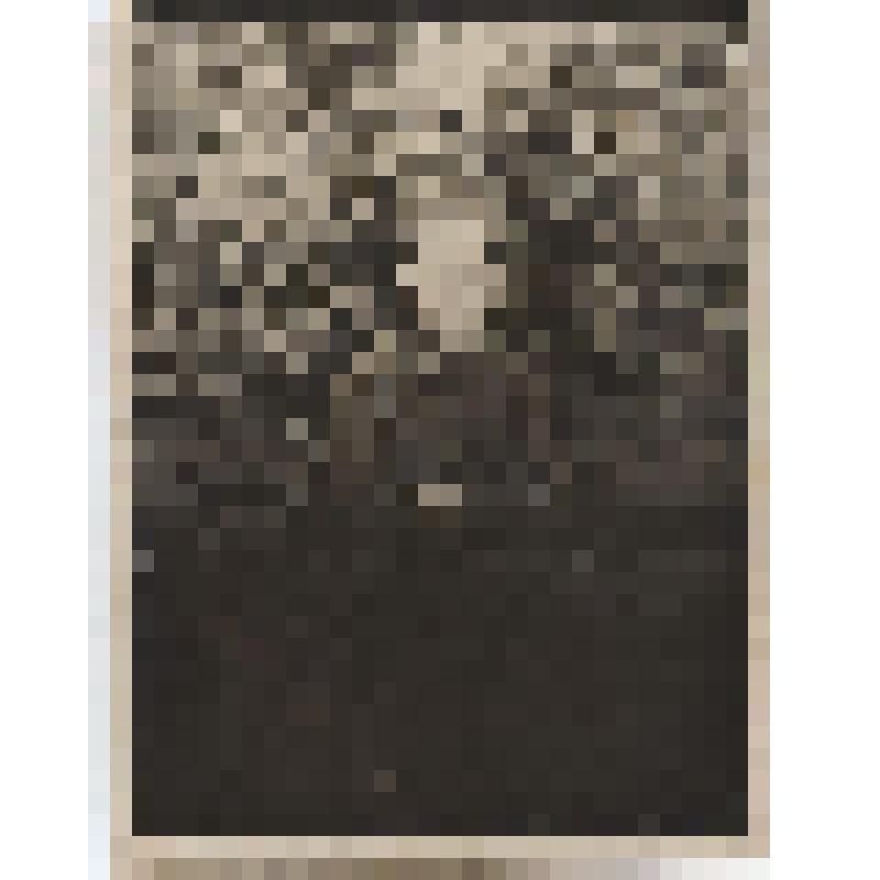 Фотография. Найденов Василий Алексеевич, капитан Красной Армии