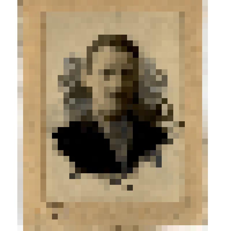 Фотопортрет