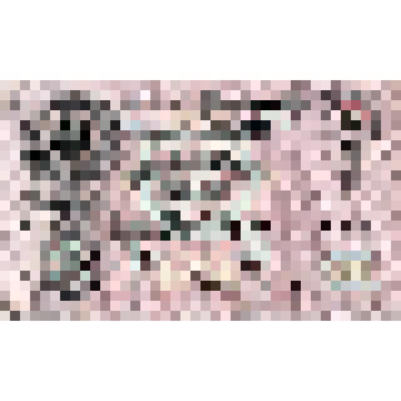 Государственный кредитный билет 25 рублей образца 1909 года