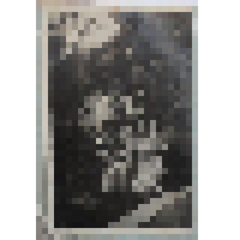 Фотография сюжетная. Островская О.О., Феденев И.П., Феденева В.И., Духовская В.И. в саду дома №4 пер. Островского. Сочи. 1936г