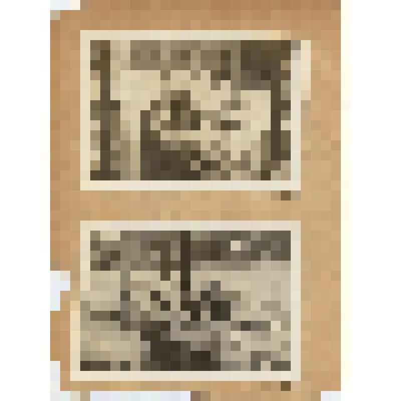 Лист из фотоальбома. Лист из фотоальбома. Пять фотографий (3 на обороте). Жаров С. А. и Жарова Н. Н. за столом на улице, с неустановленным лицом в морской форме
 (