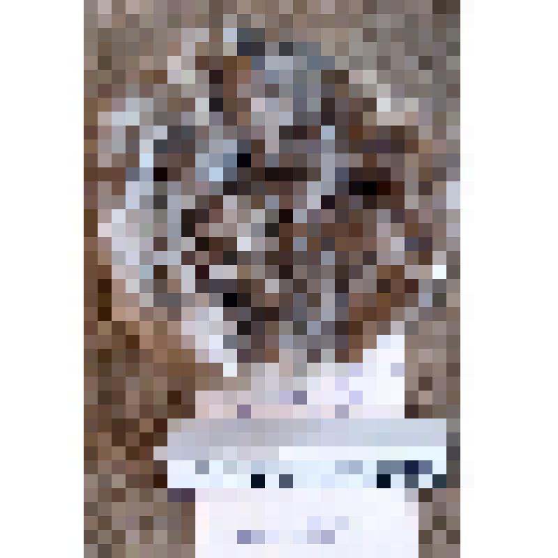 Известняк органогенно-детритовый со следами битуминозности (C2m)
