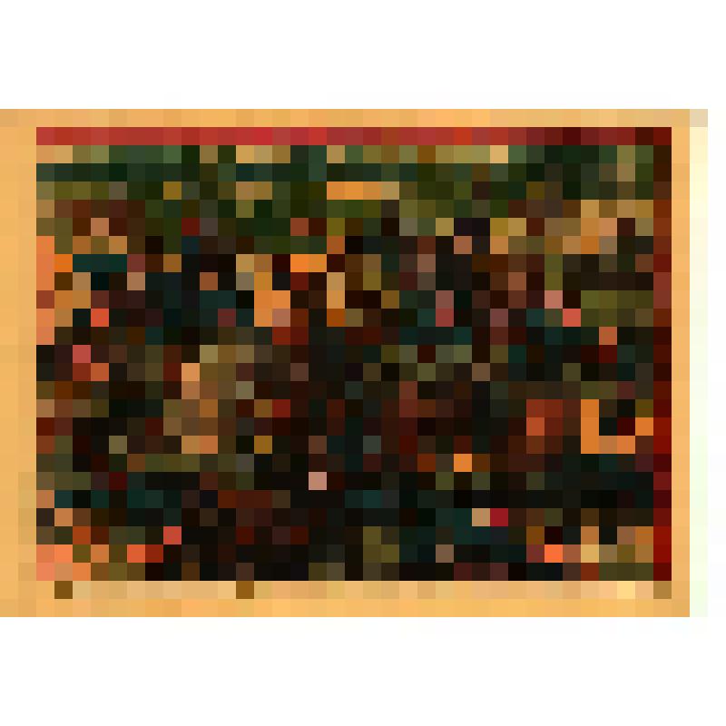 Плакат-хромолитография. Наши герои казаки