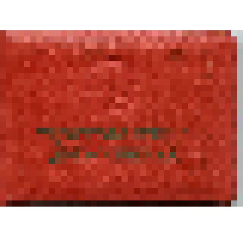 Документ. "Удостоверение дружинника №869 Бестужева Г.А, подписанное председателем Петрокрепостного исполкома"