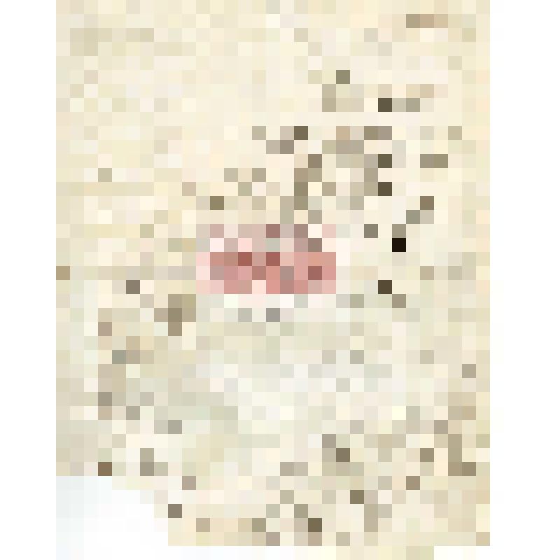 Письмо Н. Киборта Н. М. Мартьянову с уведомлением о передаче посылок с предметами для выставки в Москве на международном конгрессе И. Т. Савенкову и просьбой сообщить, нет ли каких просьб и поручений к И. Т. Савенкову в Москве