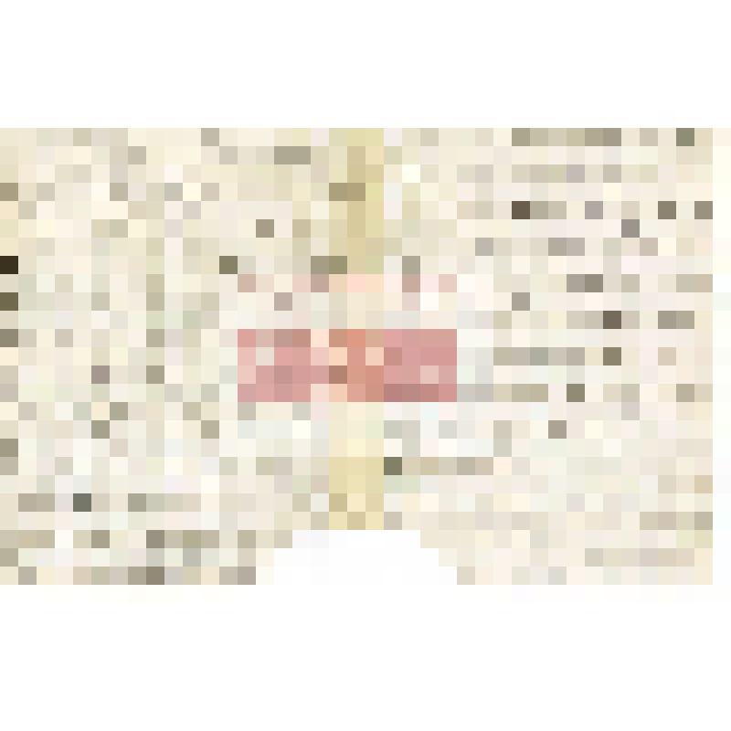 Письмо Н. Киборта Н. М. Мартьянову с уведомлением о передаче посылок с предметами для выставки в Москве на международном конгрессе И. Т. Савенкову и просьбой сообщить, нет ли каких просьб и поручений к И. Т. Савенкову в Москве