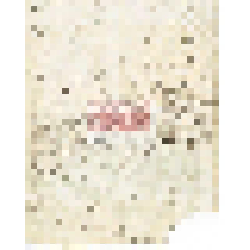 Письмо Н. Киборта Н. М. Мартьянову с уведомлением о передаче посылок с предметами для выставки в Москве на международном конгрессе И. Т. Савенкову и просьбой сообщить, нет ли каких просьб и поручений к И. Т. Савенкову в Москве