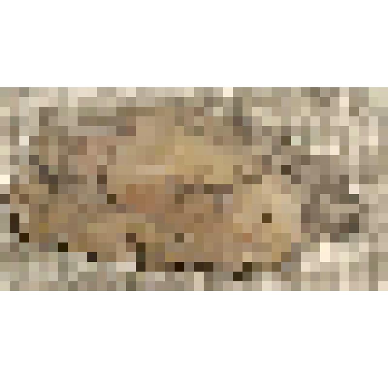 Заготовка наконечника