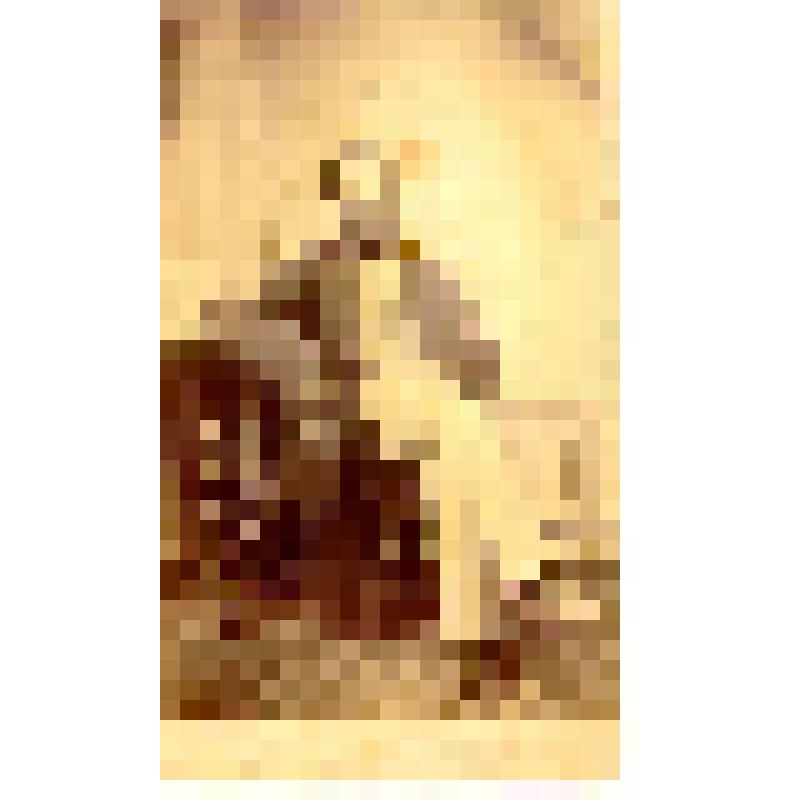 Фотография. Чапин Лука Тихонович