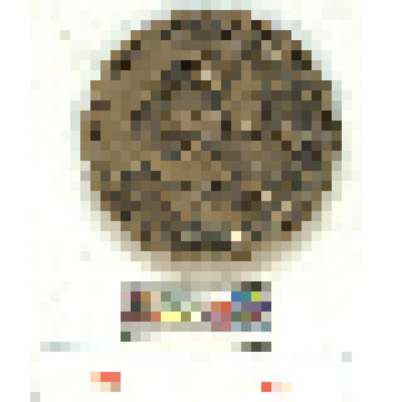 СССР. Медаль. 50 летие Калмыксой АССР. 1970 г