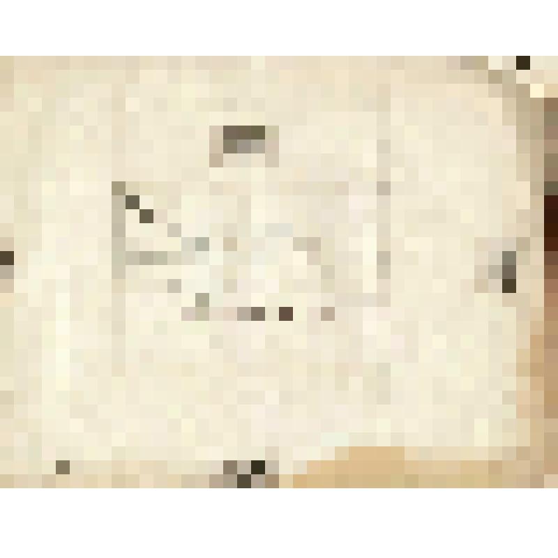 Телеграмма № 1231 в г. Чердынь В. Н.Алину от Дедюхина из г. Сарапула, 28.09.1884 г