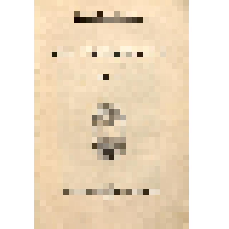 Книга. Т. 2. Мои воспоминания. Москва, изд. имп. Московского и Румянцевского музея. 1913