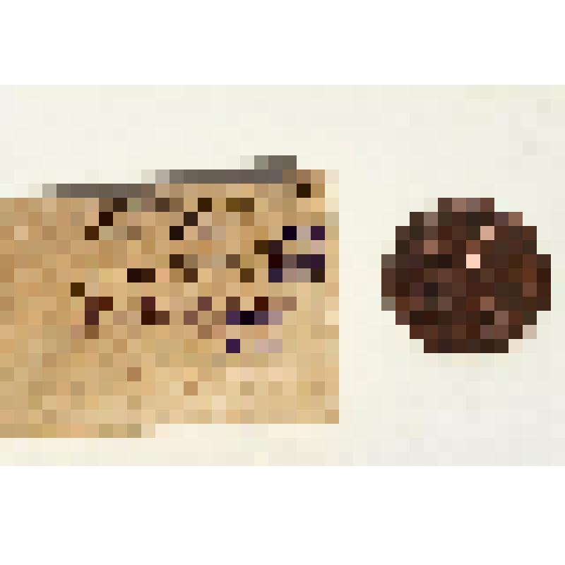 Монета. Монета "1 копейка"