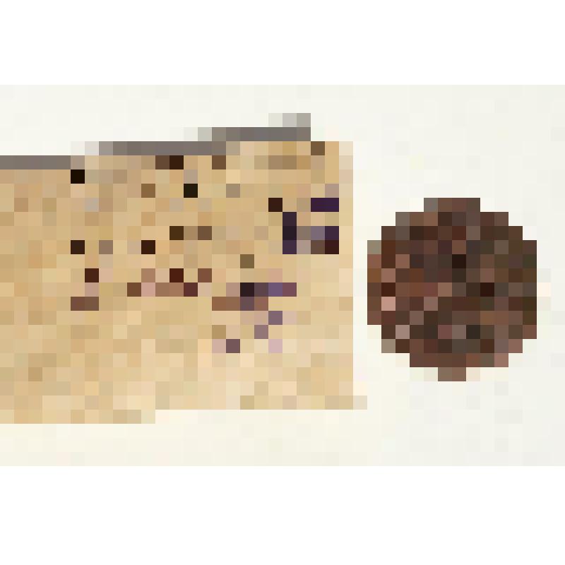 Монета. Монета "1 копейка"