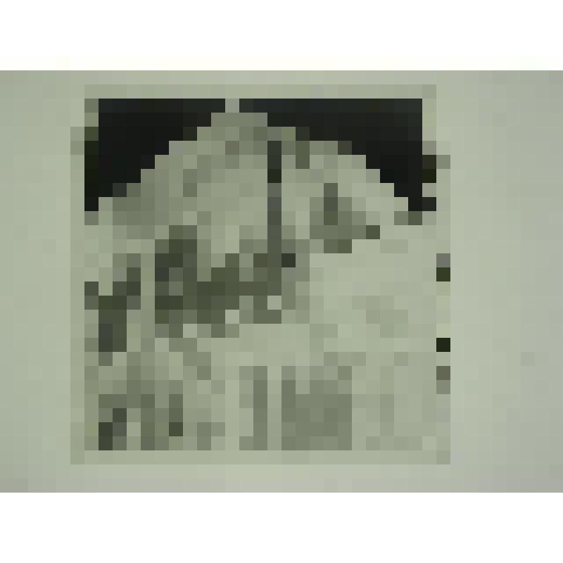 Дом В.К.Григорьева, ул. III Интернационала, 31/4. 1903 г. Челябинская  обл., Кусинский р-н, г. Куса. Дом В.К.Григорьева, ул. III Интернационала, 31/4. 1903 г. Фрагмент фасада по улице З.Космодемьянской