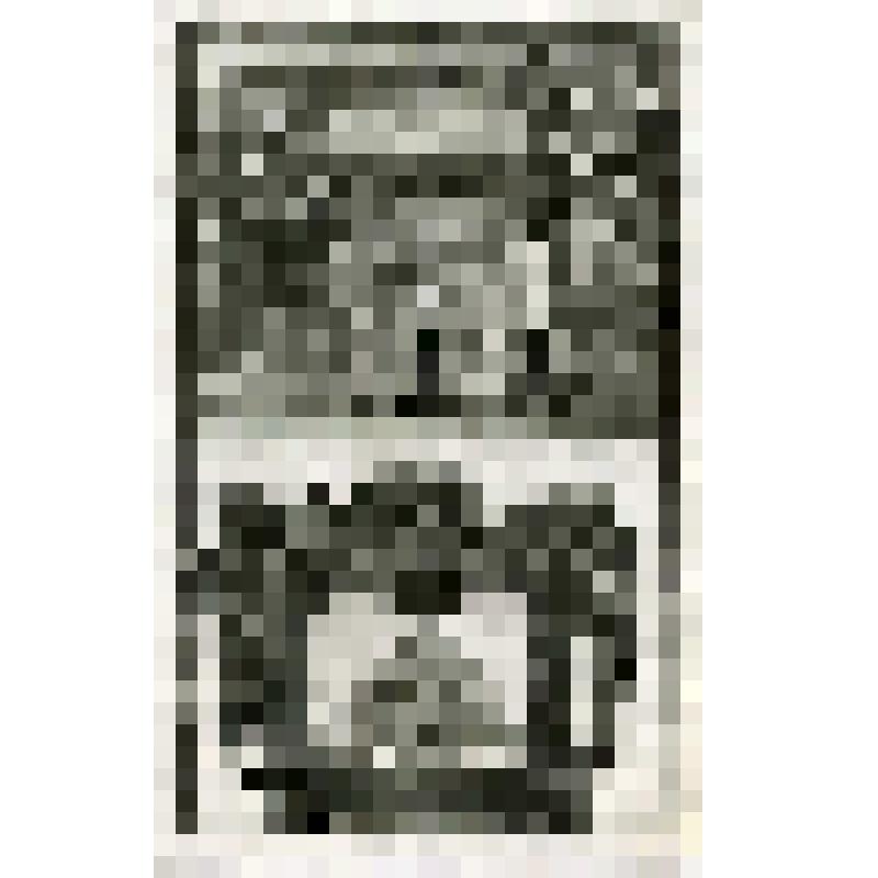 Офорт. Лист 109. Царь Соломон. «Премудрость сотворила себе дом» (Прит. 9)