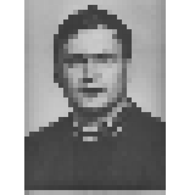 Фотография Козин Владимир Иванович, тракторист, бригадир совхоза "Кольский"