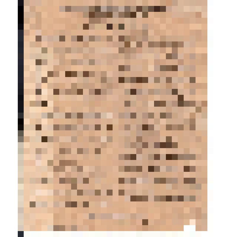 Российская социал-демократическая рабочая партия. Воронежский комитет РСДРП. Товарищи!