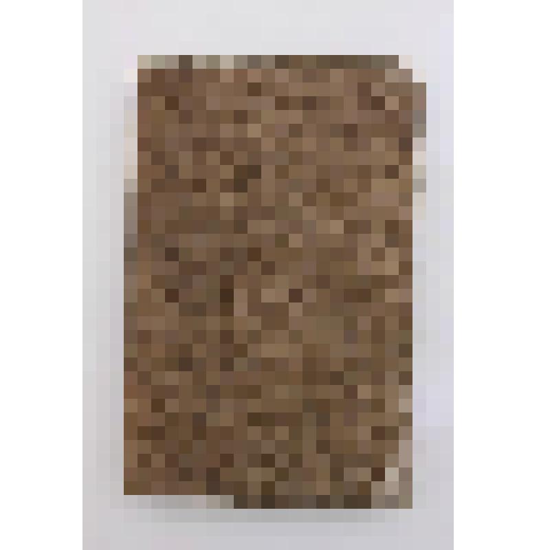 Aperçu général des forêts, dédié à la posterité. Tome second [II]. Paris, 1805