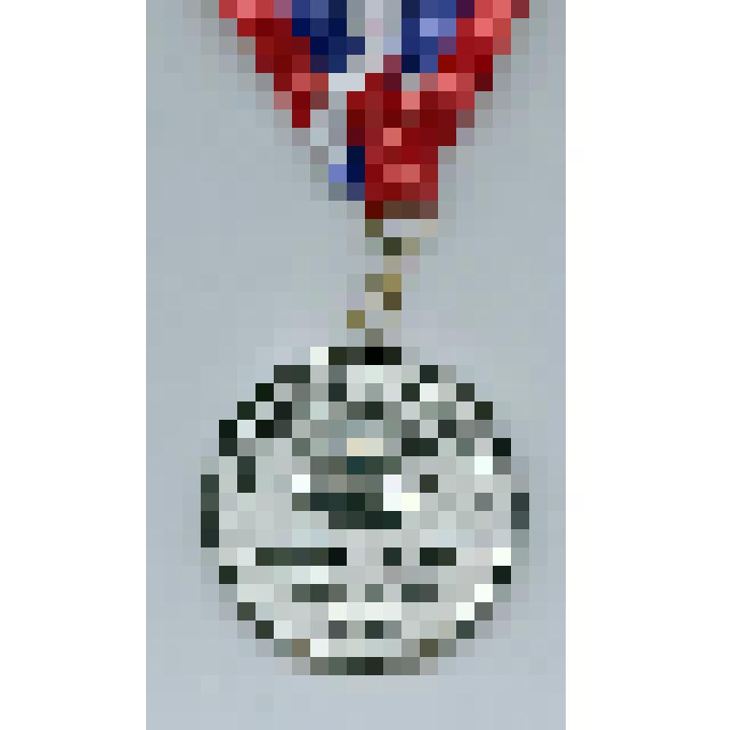 Медаль. Медаль лауреата XV фестиваля детского творчества "Жемчужина Братска" за 2 место (на ленте)