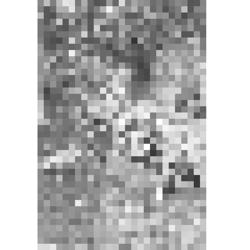 Открытка цвета сепии. Татарчаты (Крым)