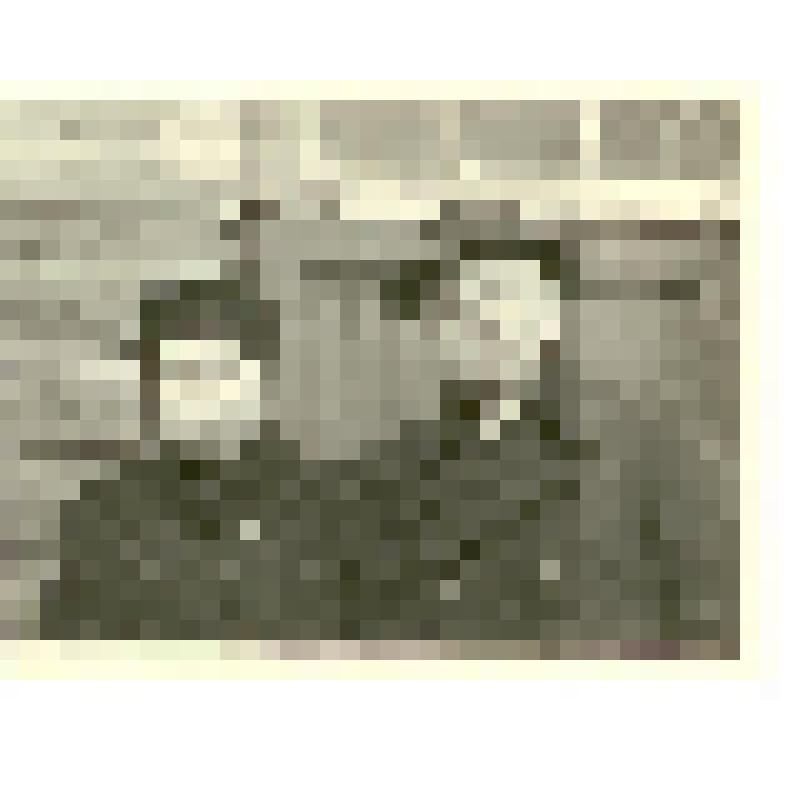 Фотография. Полущев Федор Николаевич, главный врач роддома № 5 г. Саратова, с супругой Лидией Михайловной, из коллекции материалов о Полущеве Федоре Николаевиче, враче-гинекологе, преподавателе СМИ, организаторе роддомов в Сталинском  (Заводском) и Фрунзе