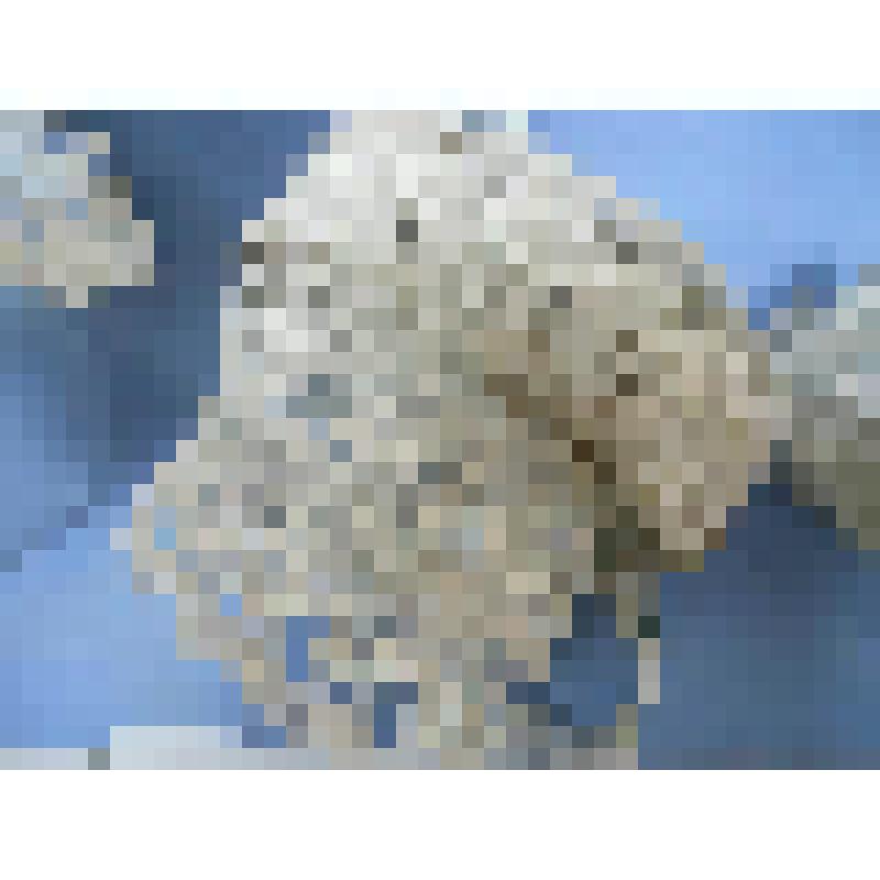 Кружево мерное (кружево-прошва или кружево-аграмант)