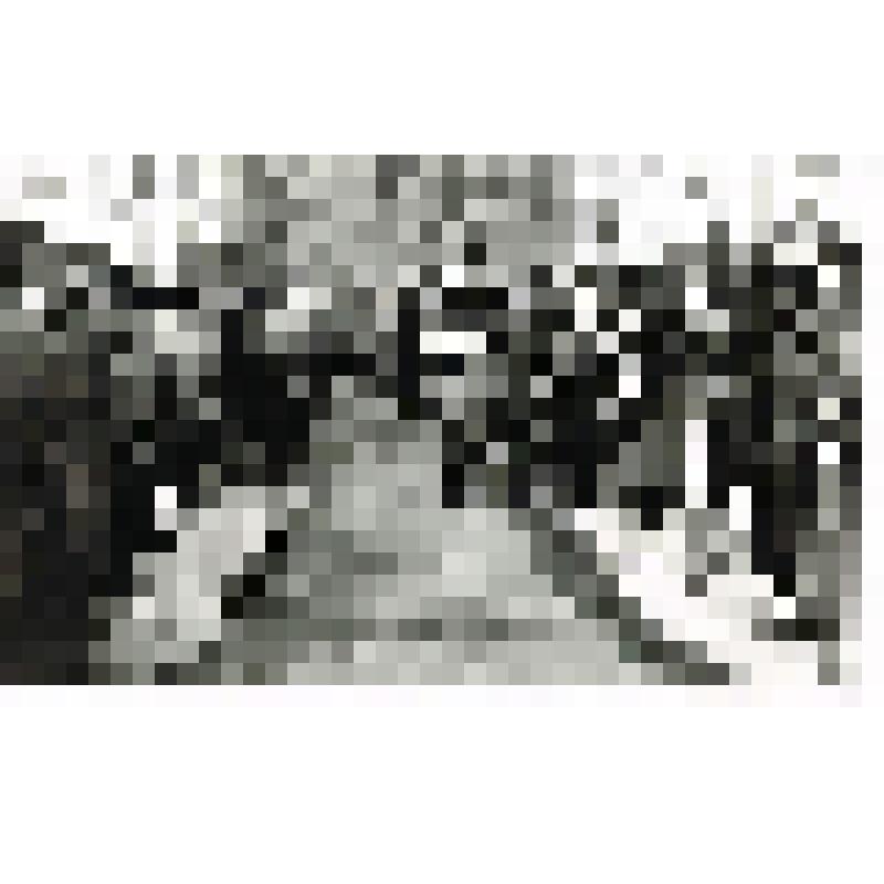 Фотография. Ветераны ВОВ