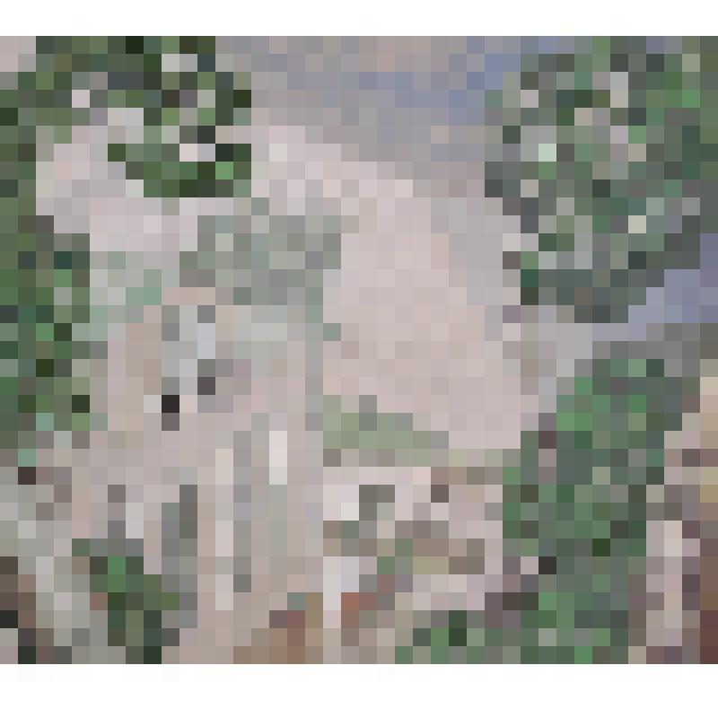 Дождь (Летний дождь)