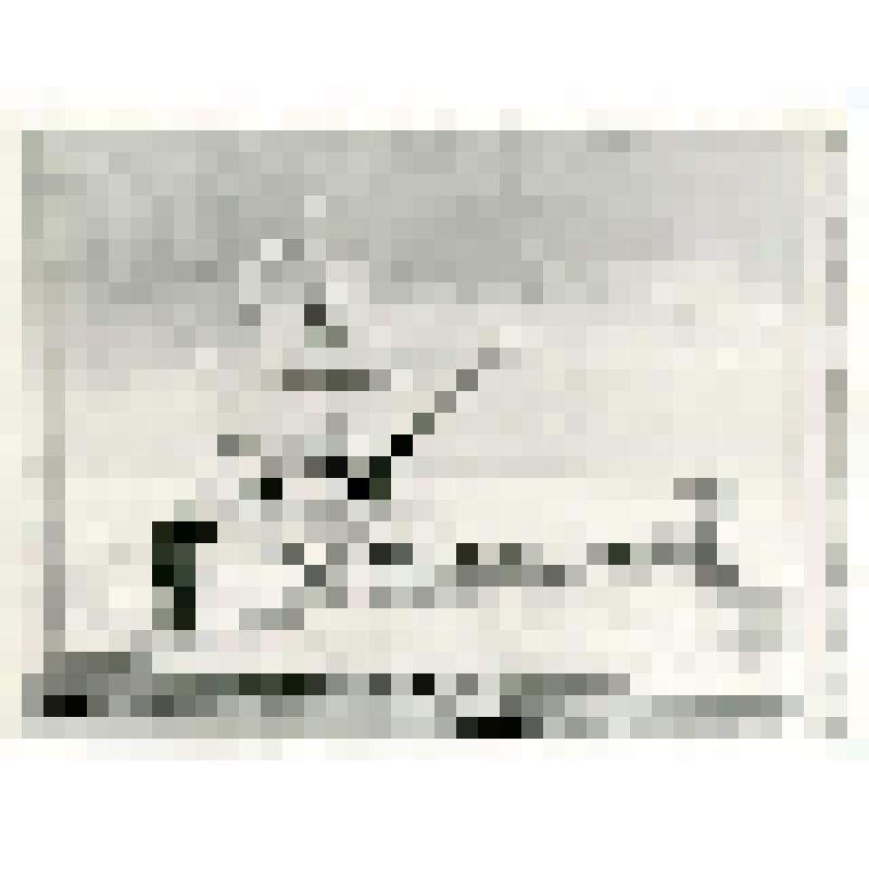 Фотокопия. Картина «Отъезд Э. Толля на Новосибирские острова».Автор Кандинский В.А