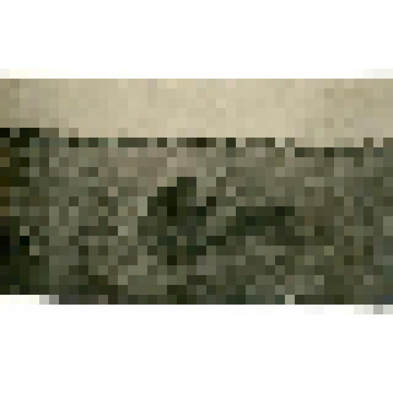 Фотография. Якут, стреляющий из кремневого оружия на фоне своего посева