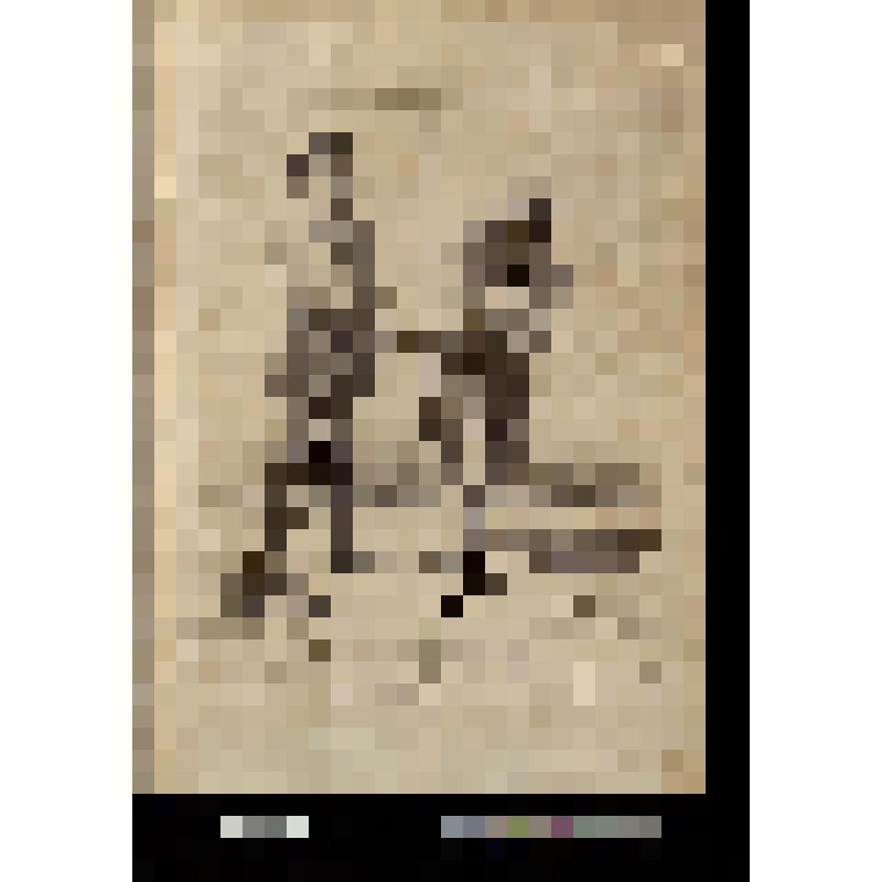 Une visite au bagne de Naples