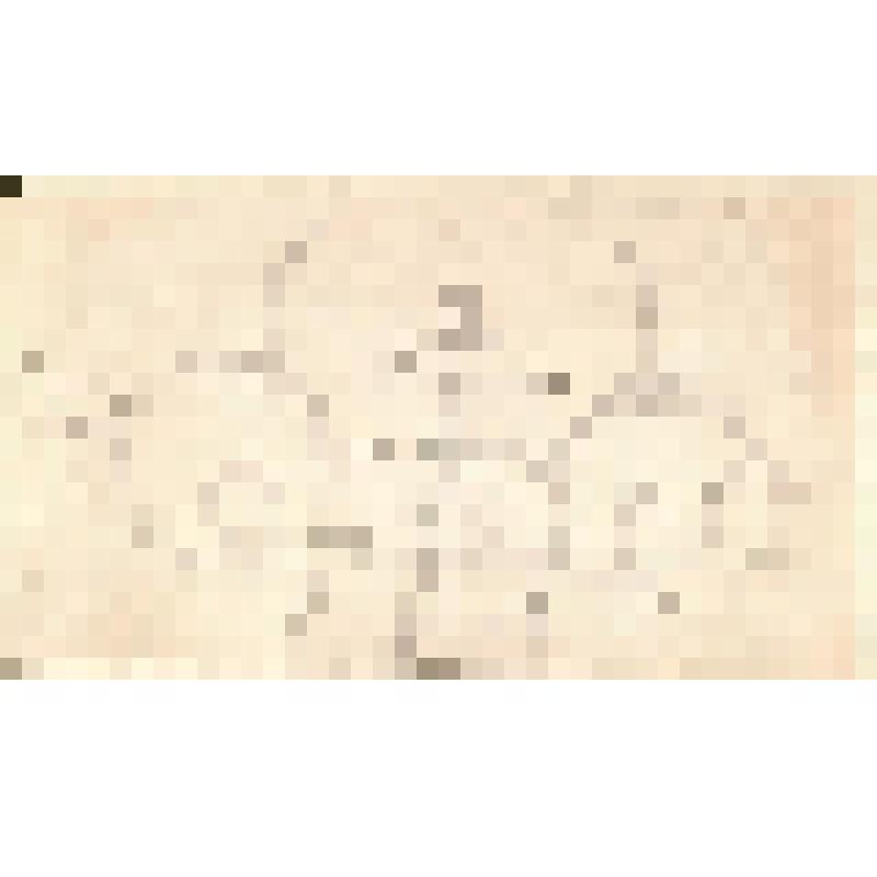 Таблица-зарисовка дагестанского орнамента. Из альбома зарисовок «Дагестанские экспедиции Шиллинга. 1939 – 1944 гг.». Часть II