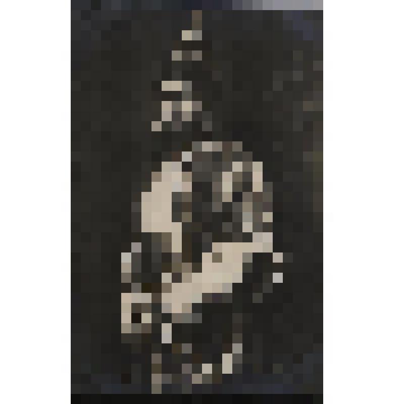 Фото на почтовой карточке. Лубенцов В.Н. в роли Хана Кончака. "Князь Игорь". Бородин А.; 1920, реж. Санин А.А., худ. Коровин К.А