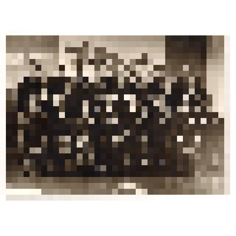 Фотография групповая. Офицеры и преподаватели 80-й Военной авиационной школы механиков. В помещении школы, на фоне стенда «К коммунизму!»