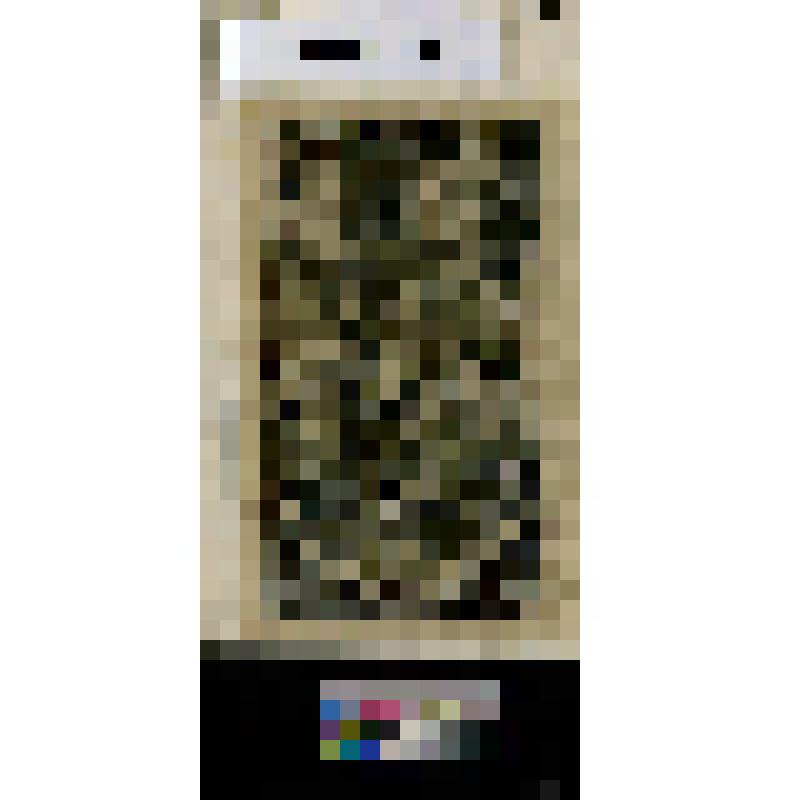 Поклонение волхвов