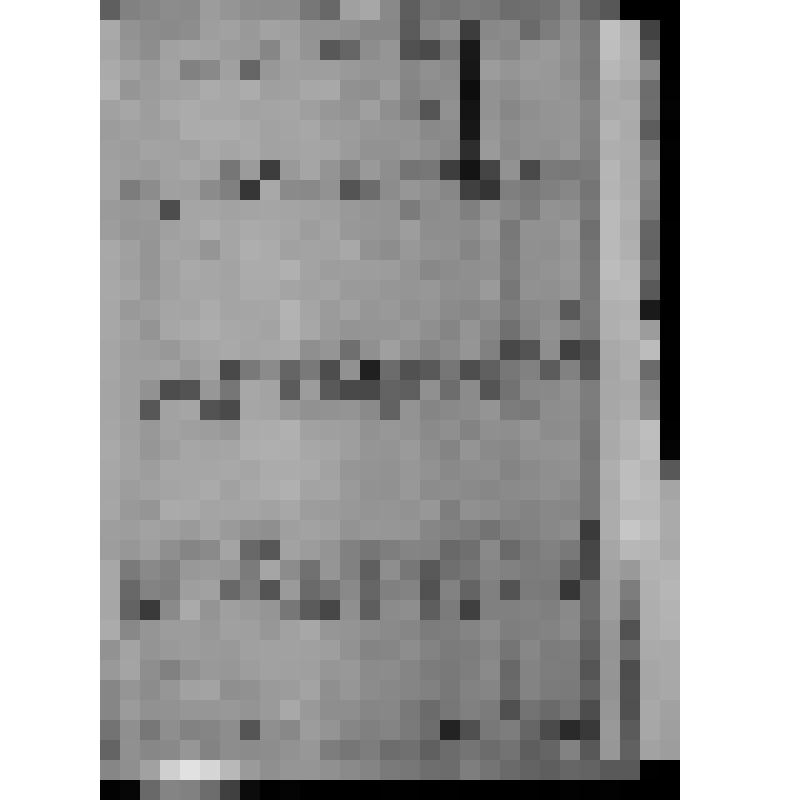 КОПИЯ РАПОРТА