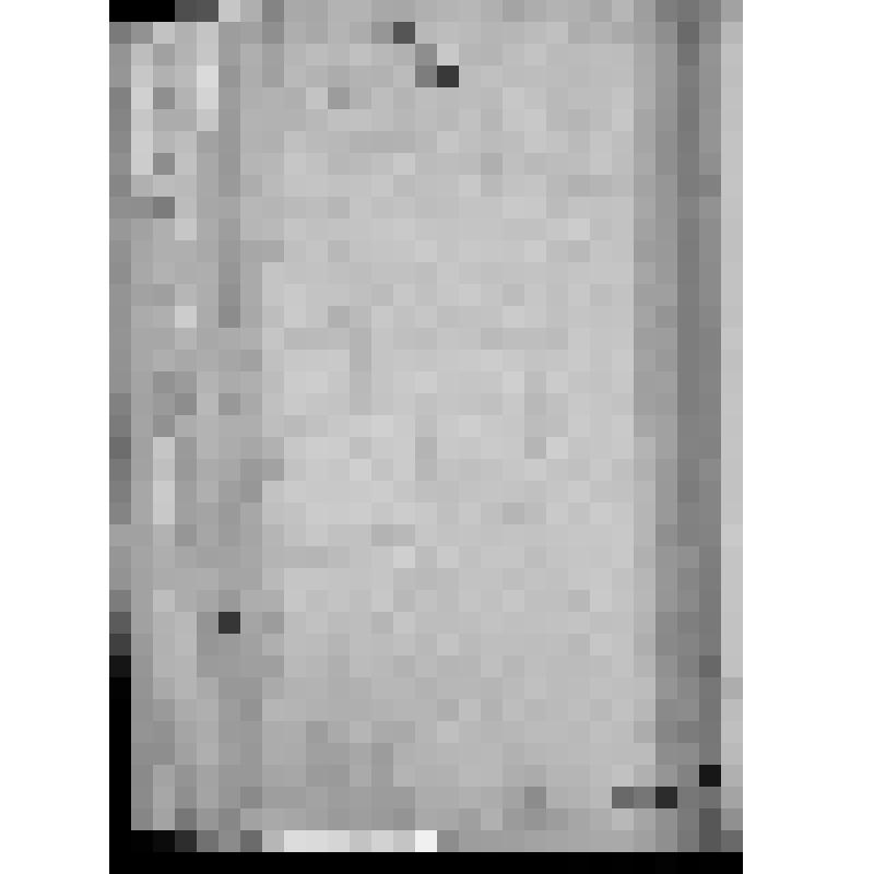 КОПИЯ РАПОРТА