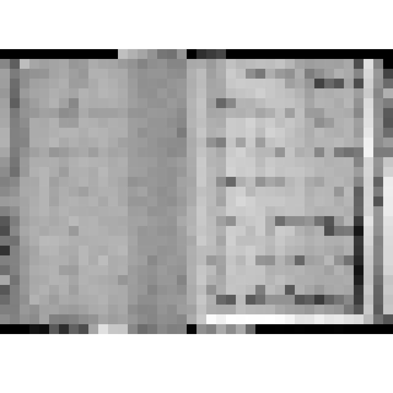 КОПИЯ РАПОРТА