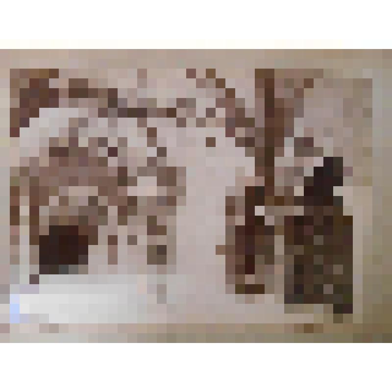 Франция. Монастырь Фонтевро. 1101 г. Фрагмент галереи. MIEUSEMENT Phot. PARIS. ROBERT-MIEUSEMENT, Ed