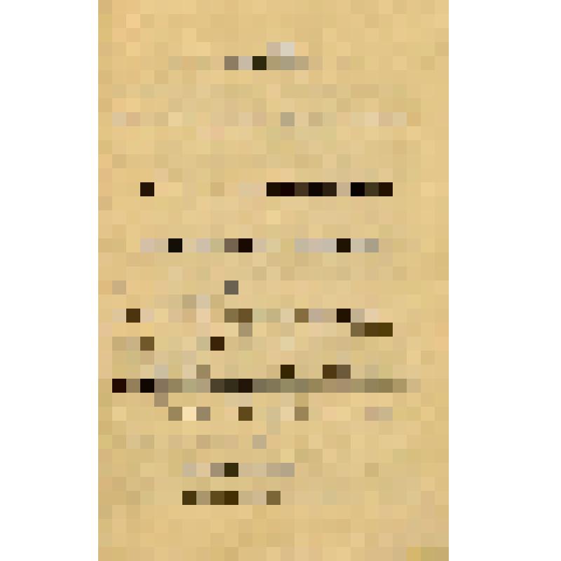 Книжка контрольная № 95, выданная Е.И. Кудрявцевой отделом трубочистов Красноярского городского Общества взаимного от огня страхования 1 ноября 1911 года на очистку дымовых труб в пяти русских и в десяти голландских печах в ее доме № 60 по улице Воскресен