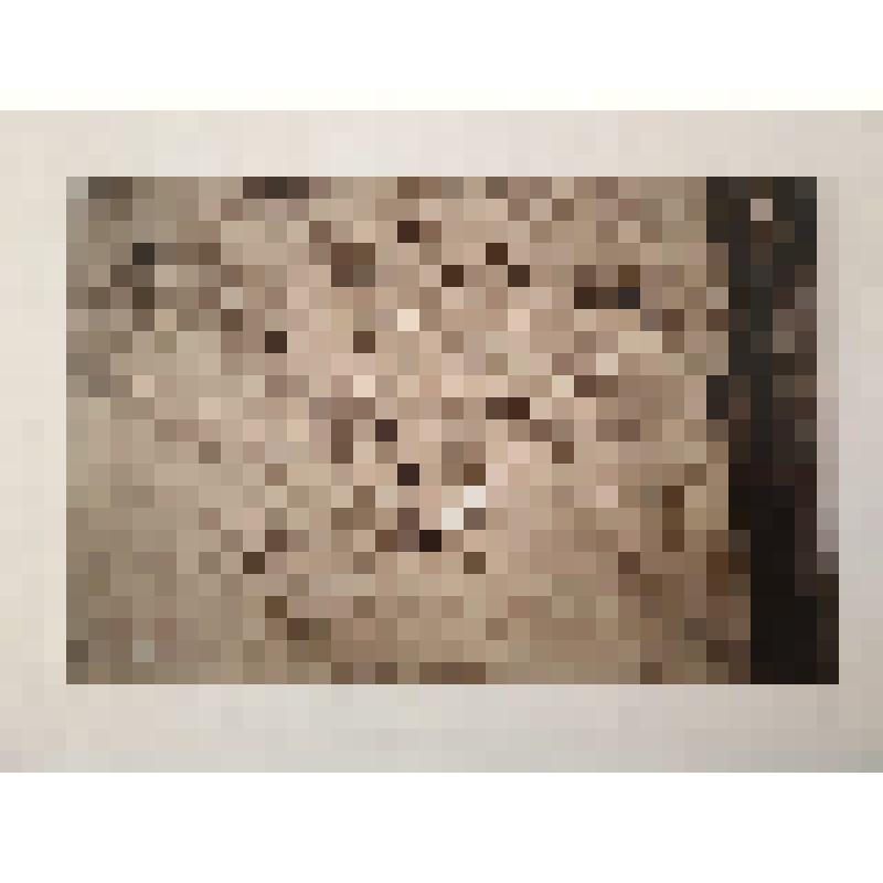 Фотографии цветные археологических раскопок в 2000 г. в Рыбинском районе, Красноярского края "Стоянка - Зеленогорск-2"