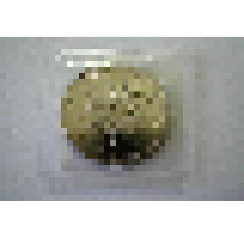 Монета памятная  достоинством 25 рублей «Сочи – 2014. Талисманы»