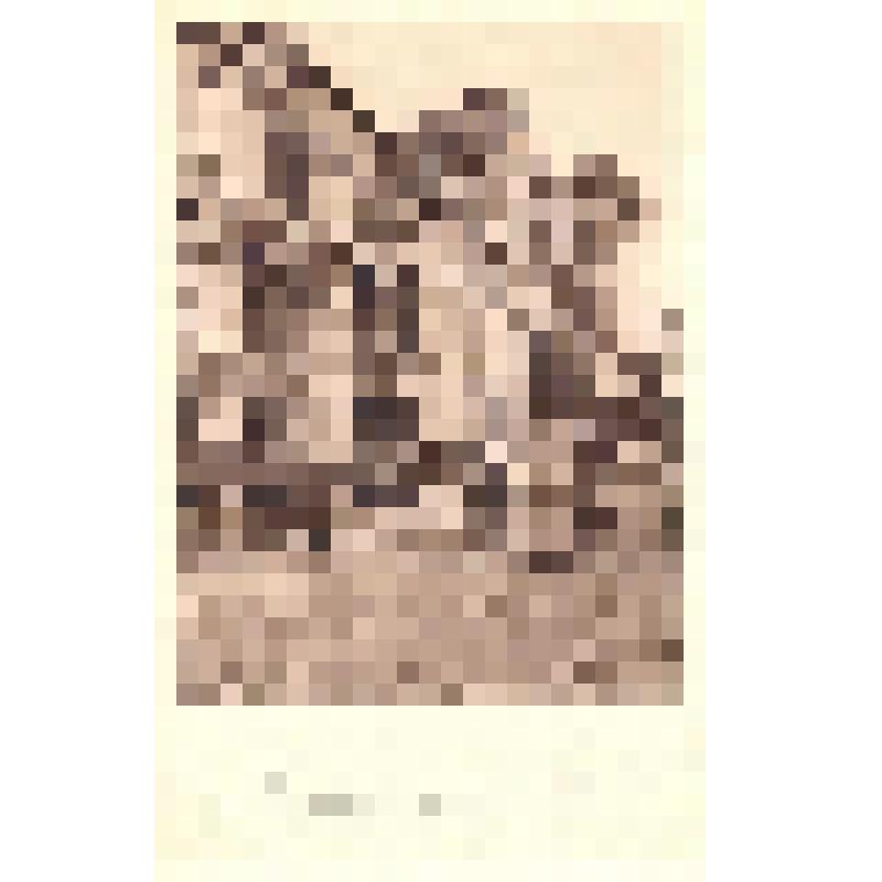 Открытка (Venezia. Conservatorio musicale B. Marcello Palazzo Pisani. Ala sinistra.)