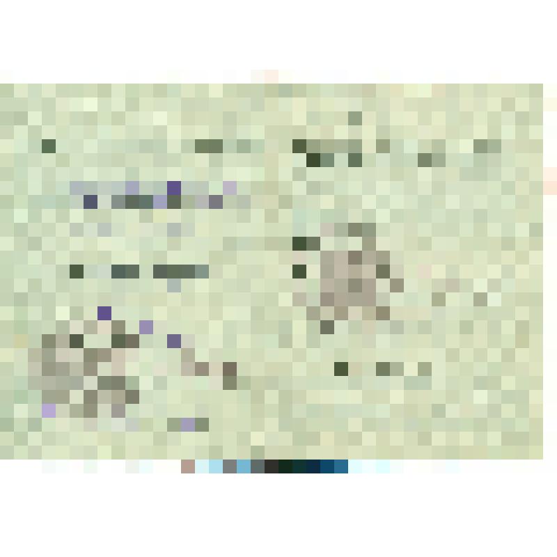 Орденская книжка