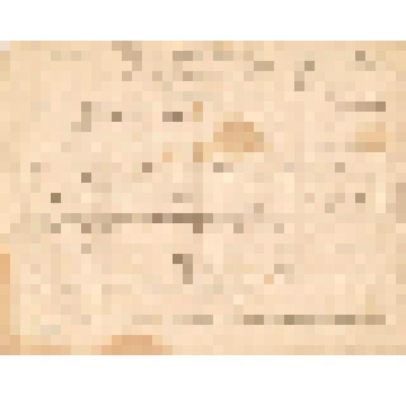 Телеграмма № 187 в г. Чердынь Капитолине Ивановне Алиной от Хомутова из Березников ужд, 27.10.1884 г